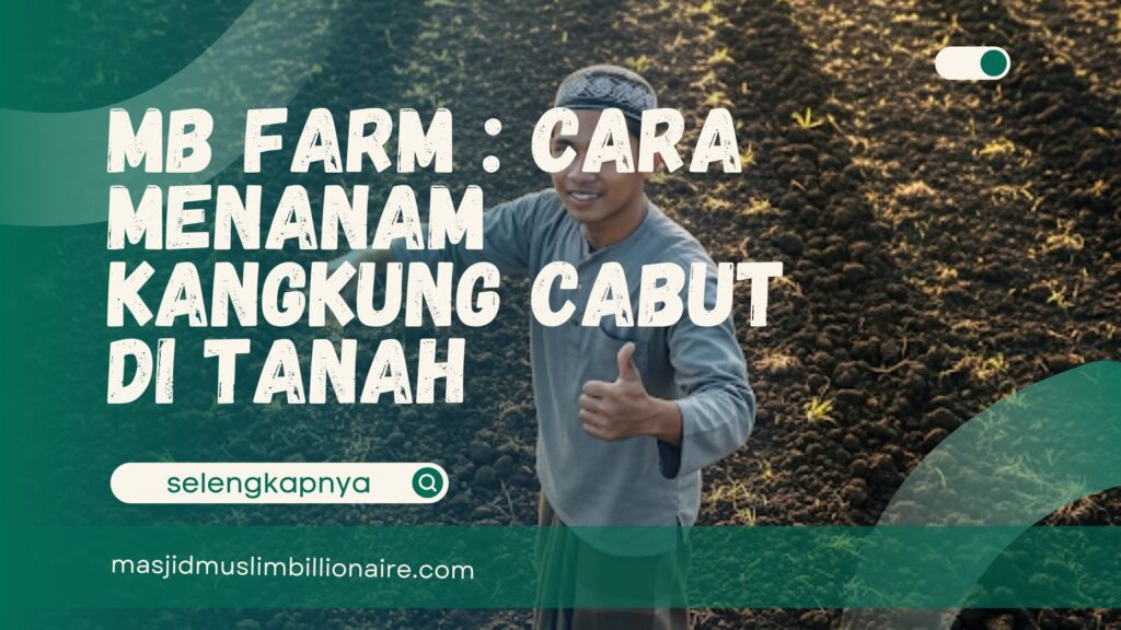 cara menanam kangkung cabut di tanah