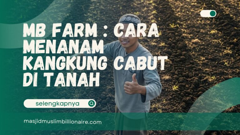 cara menanam kangkung cabut di tanah