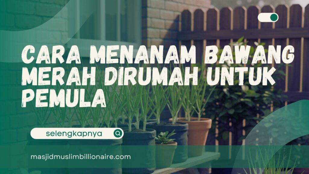 cara menanam bawang merah di rumah