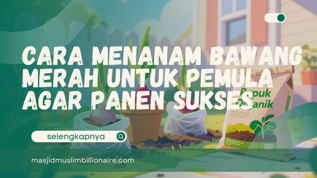cara menanam bawang merah untuk pemula