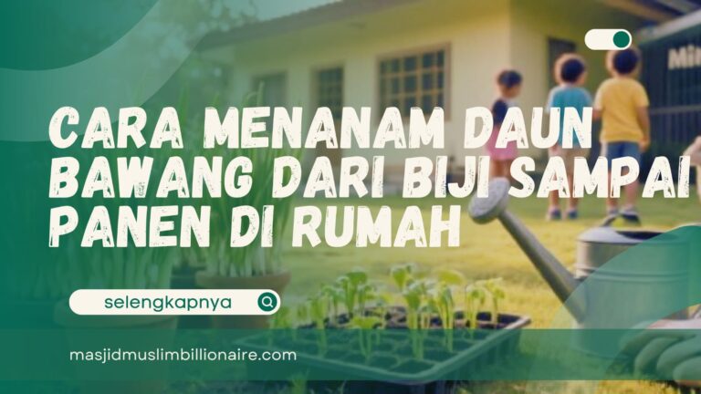 cara menanam daun bawang dari biji sampai panen