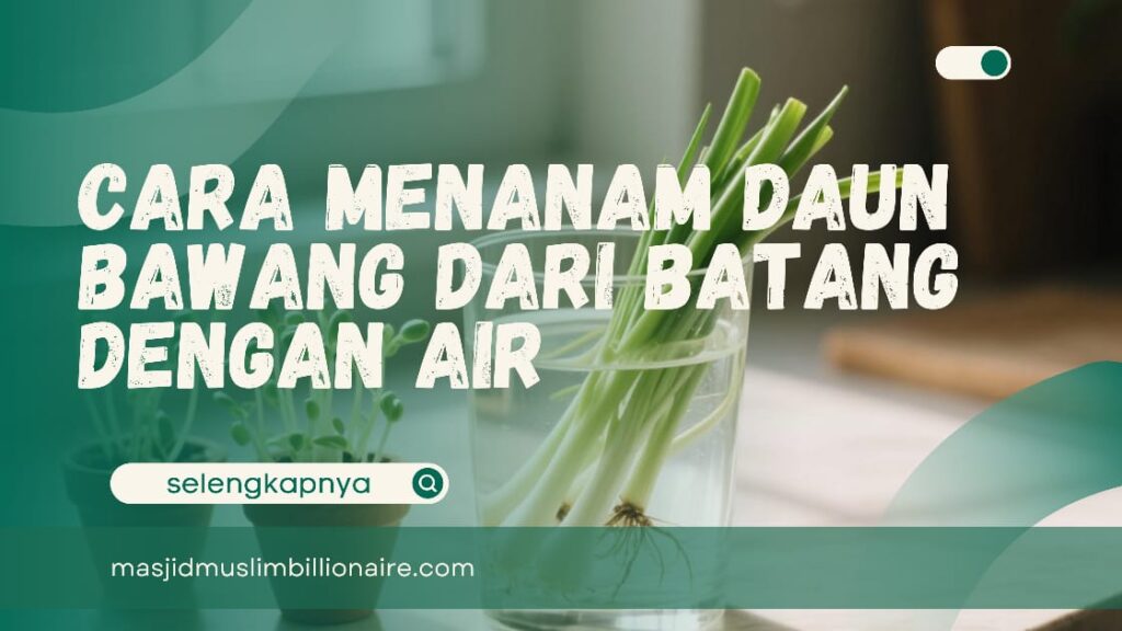 cara menanam daun bawang dari batang dengan air