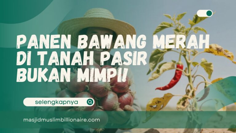 cara menanam bawang merah di tanah pasir