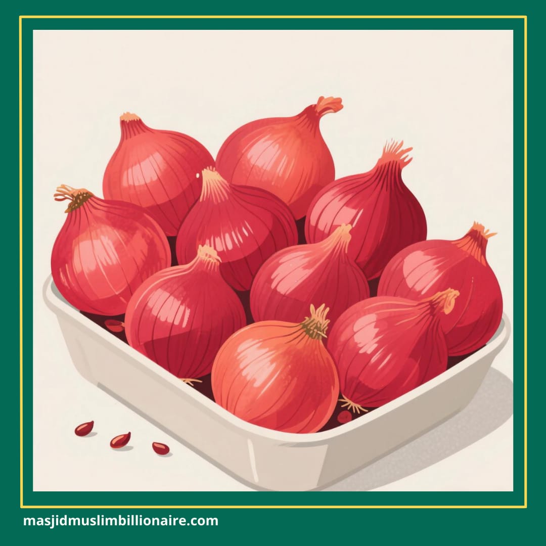 cara menanam bawang merah untuk pemula 