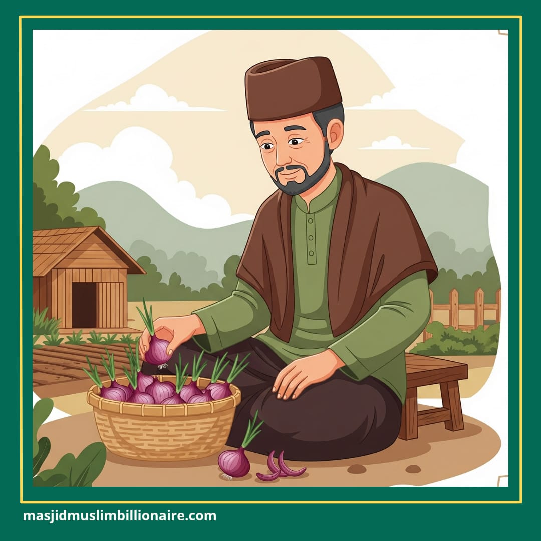 menanam bawang merah di musim hujan 