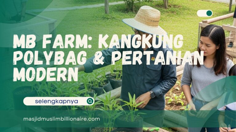 cara menanam kangkung cabut di polybag