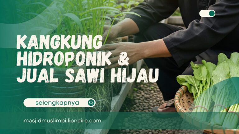 cara menanam kangkung hidroponik dengan botol bekas