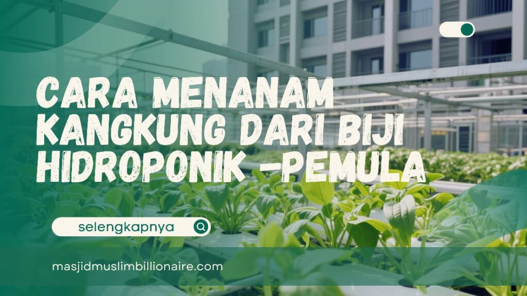 menanam kangkung hidroponik
