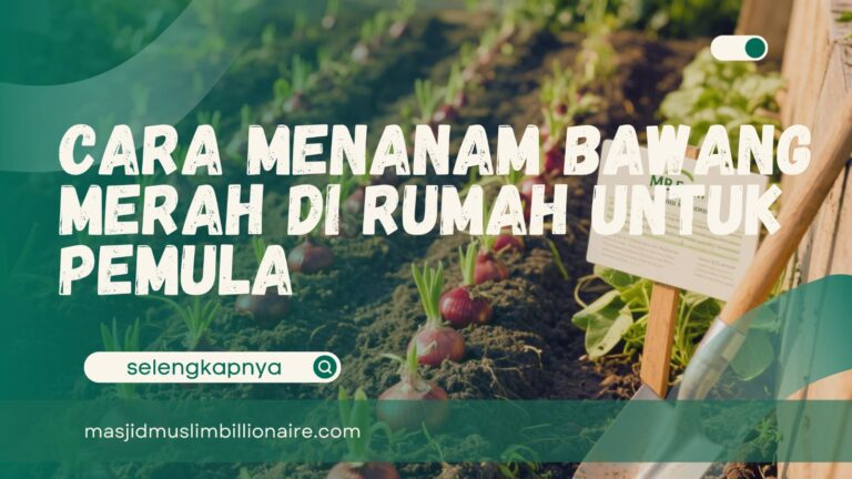 menanam bawang merah di rumah