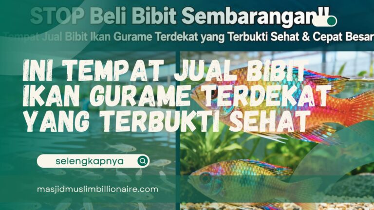 tempat jual bibit ikan gurame terdekat