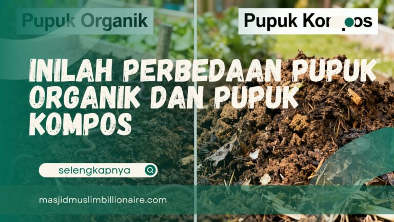 perbedaan pupuk organik dan kompos