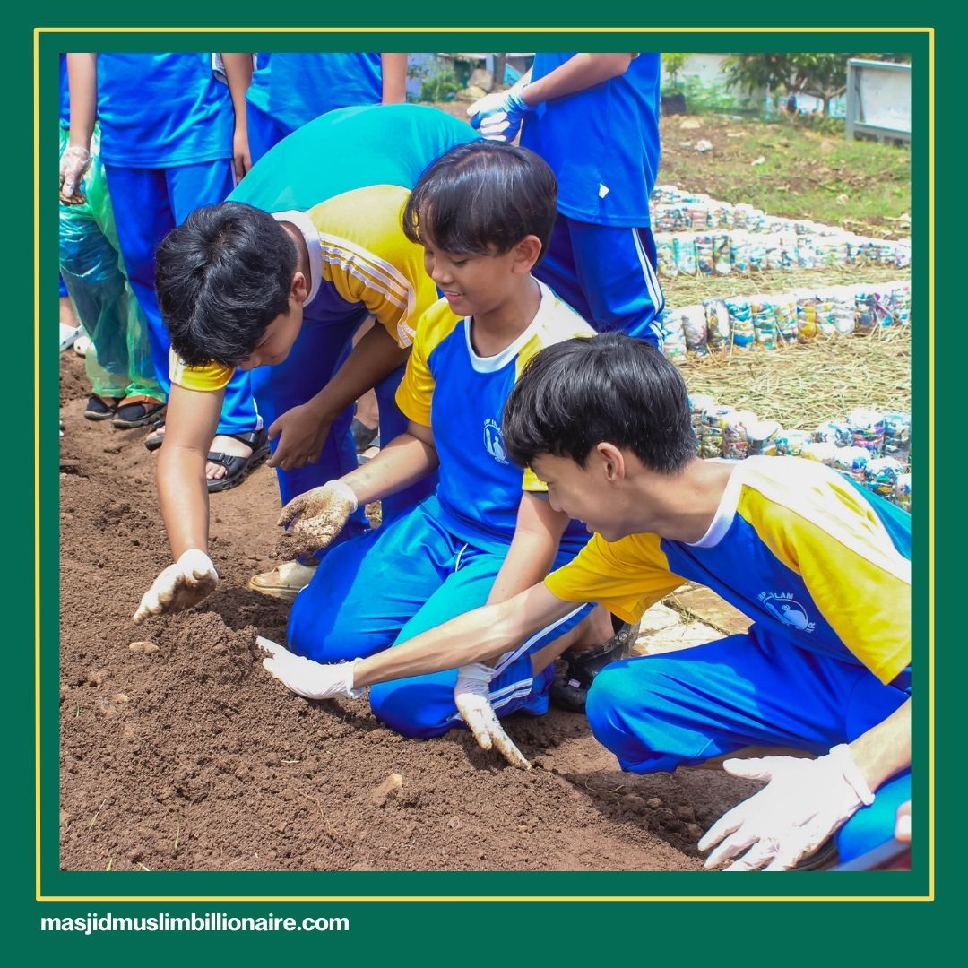 cara menanam jagung manis agar tidak dimakan semut