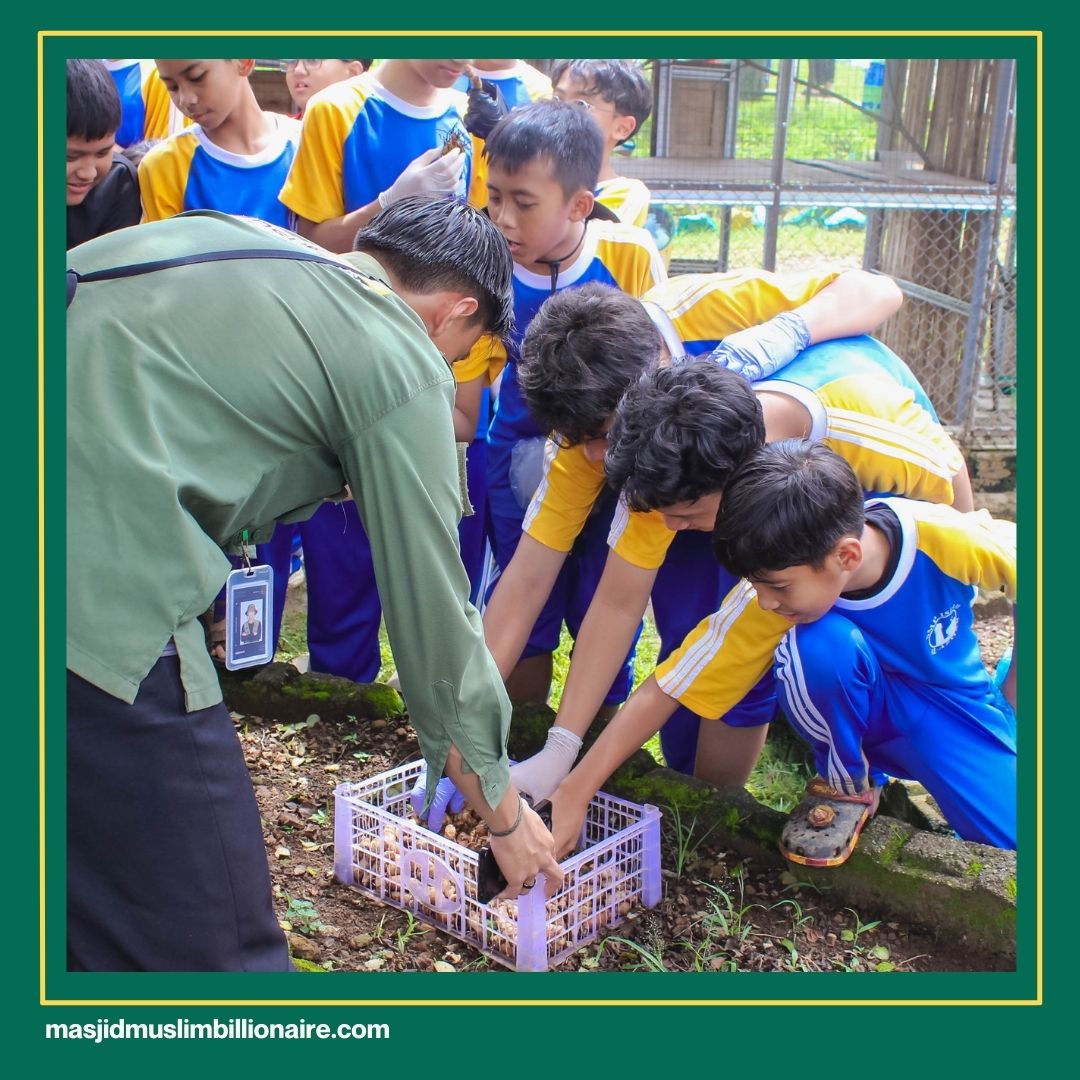 teknologi pertanian modern berdampak