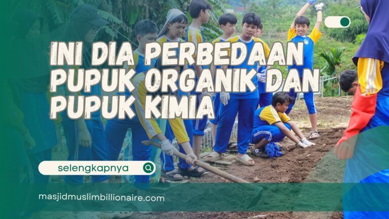 apa perbedaan pupuk organik dan pupuk kimia