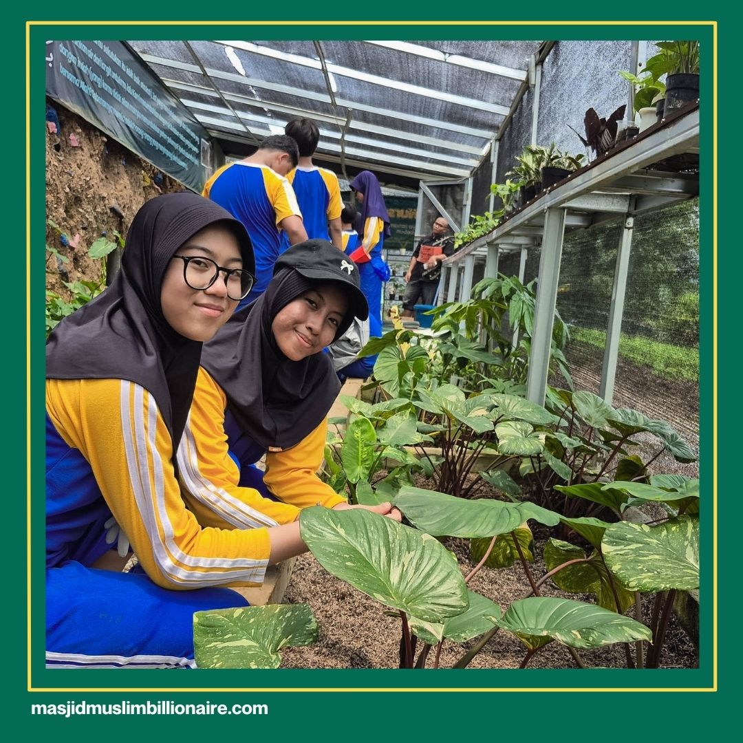 cara membuat pupuk kompos dari sayuran