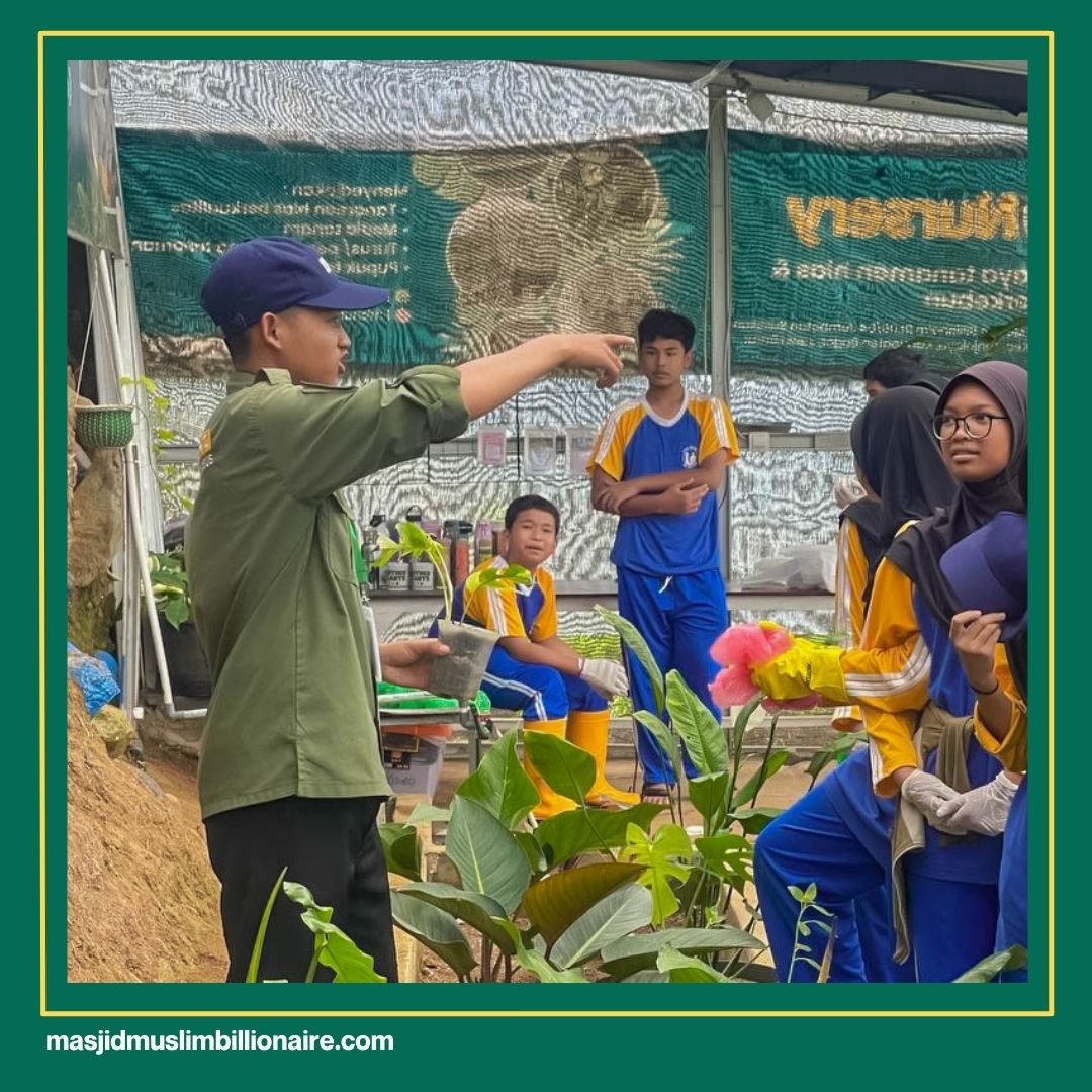 cara menanam jagung manis di polybag
