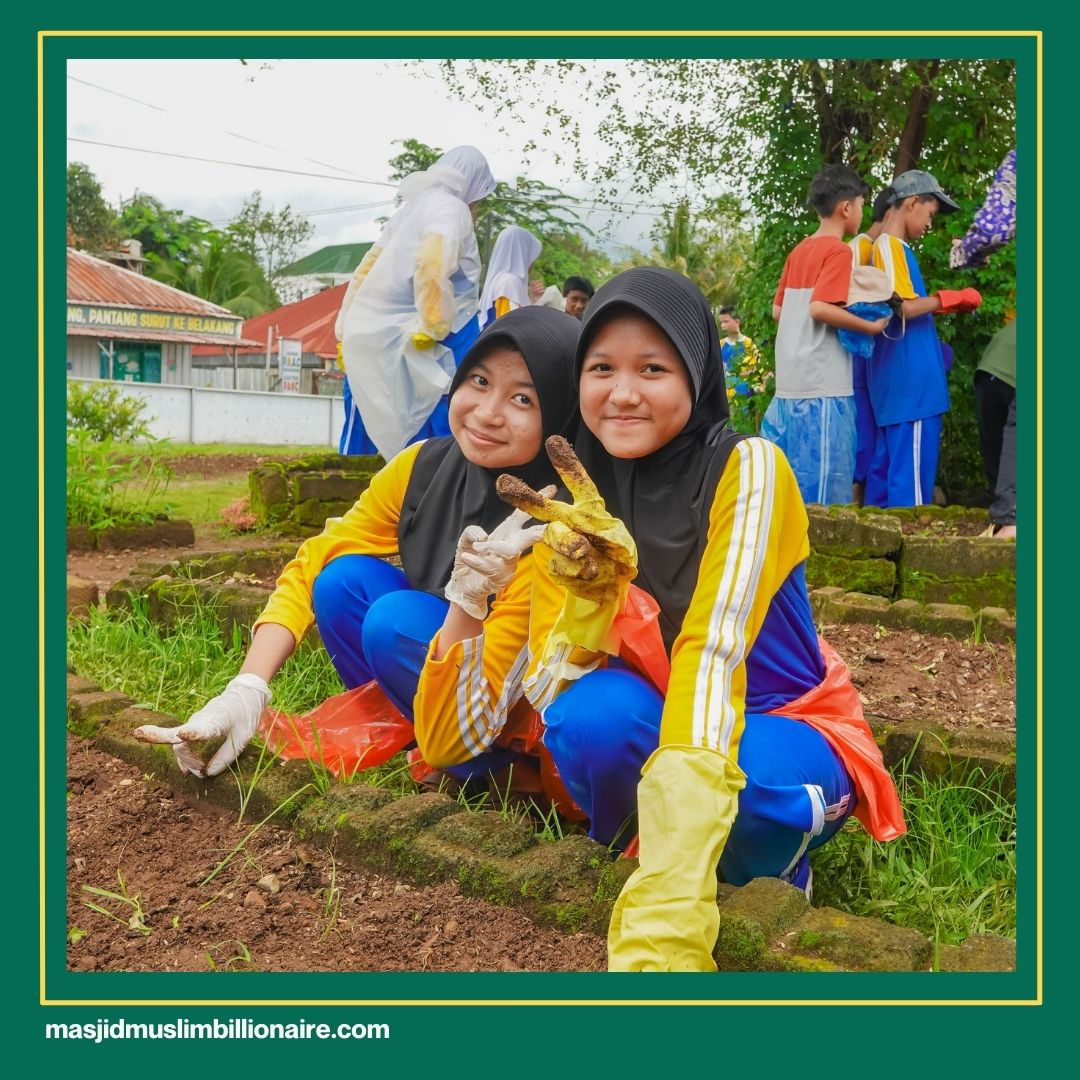 cara menanam jagung di lahang kering