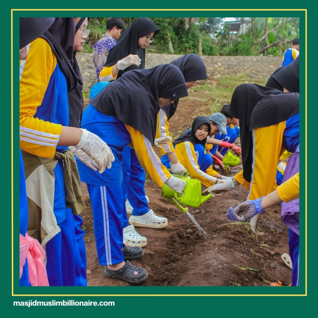 kapan waktu yang tepat untuk menanam kangkung