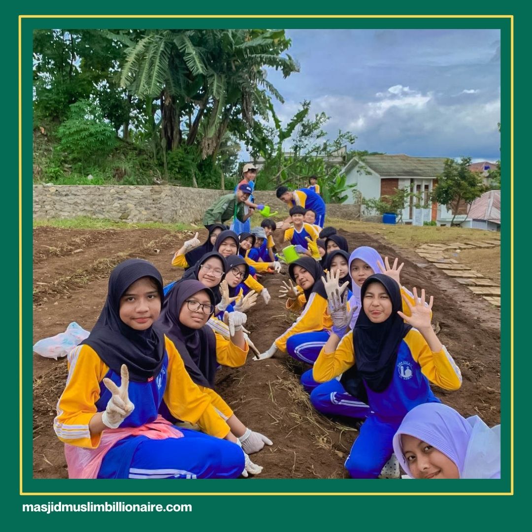 cara menanam jagung di rumah