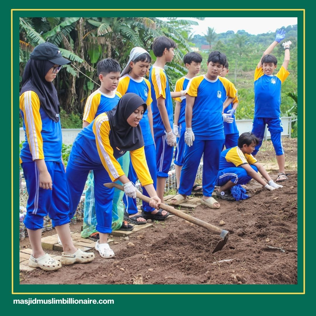 cara menanam jagung di rumah