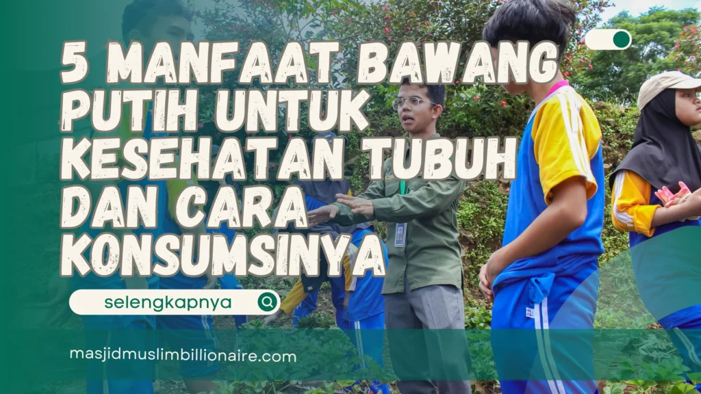 manfaat bawang putih untuk kesehatan tubuh