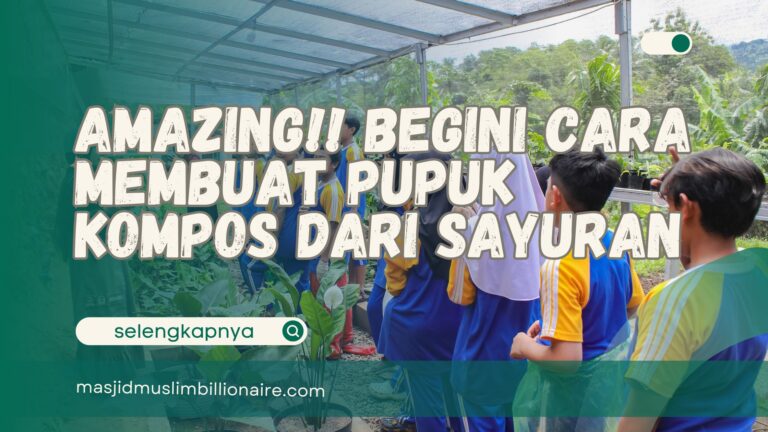 cara membuat pupuk kompos dari sayuran