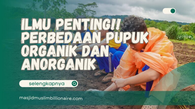 perbedaan pupuk organik dan pupuk anorganik