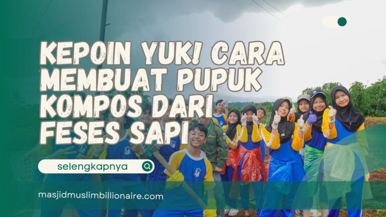 cara membuat pupuk kompos dari feses sapi