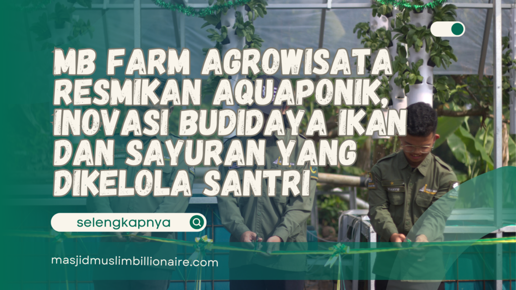 MB Farm Agrowisata Resmikan Aquaponik, Inovasi Budidaya Ikan dan Sayuran yang Dikelola Santri